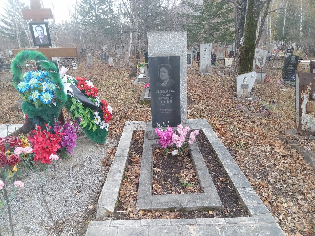 Несмеянова Таисия Петровна