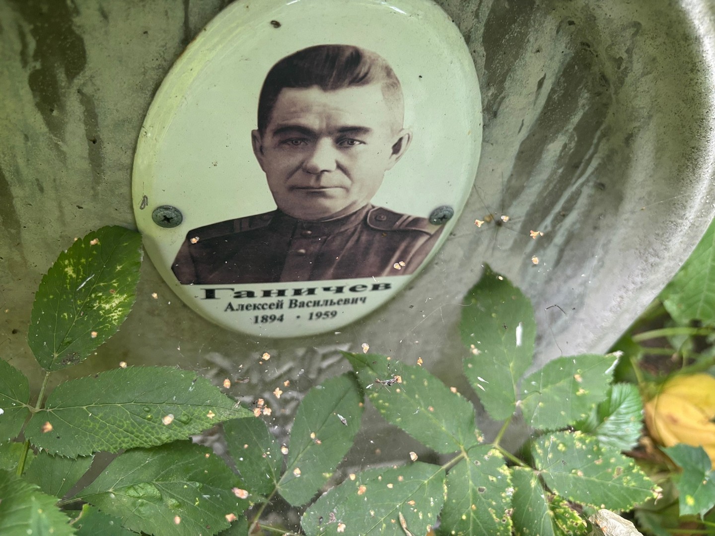 Ганичев