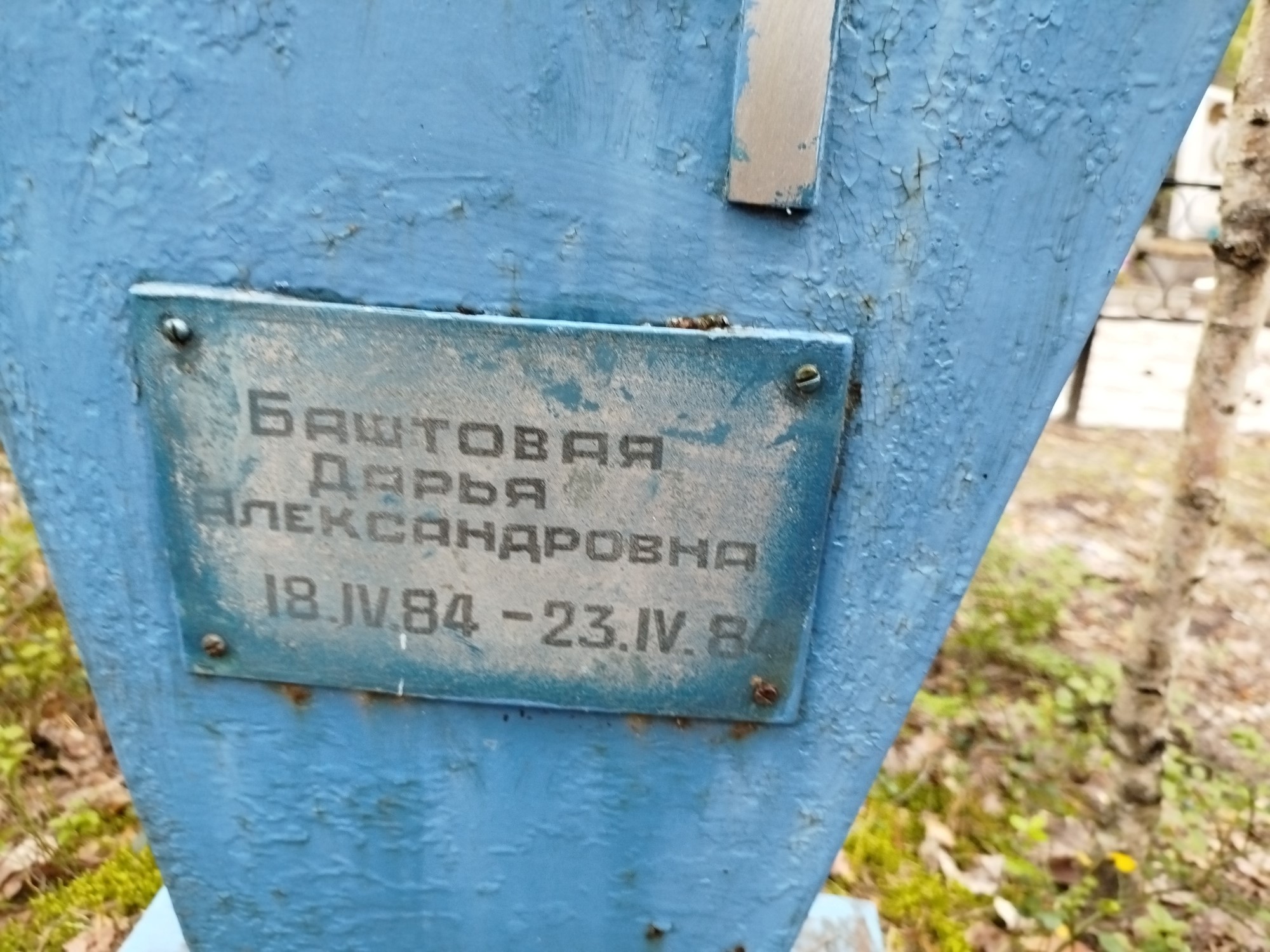 Баштовая Дарья Александровна