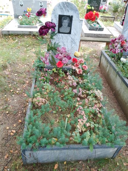 Колташов Анатолий Георгиевич