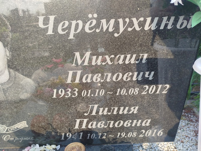 Черемухин