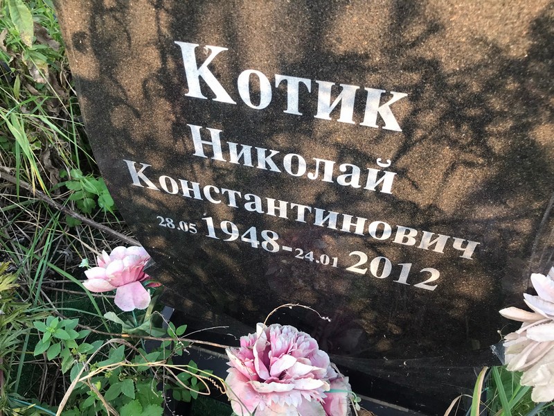 Котик