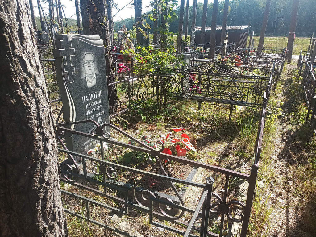 Палютин Николай Иванович
