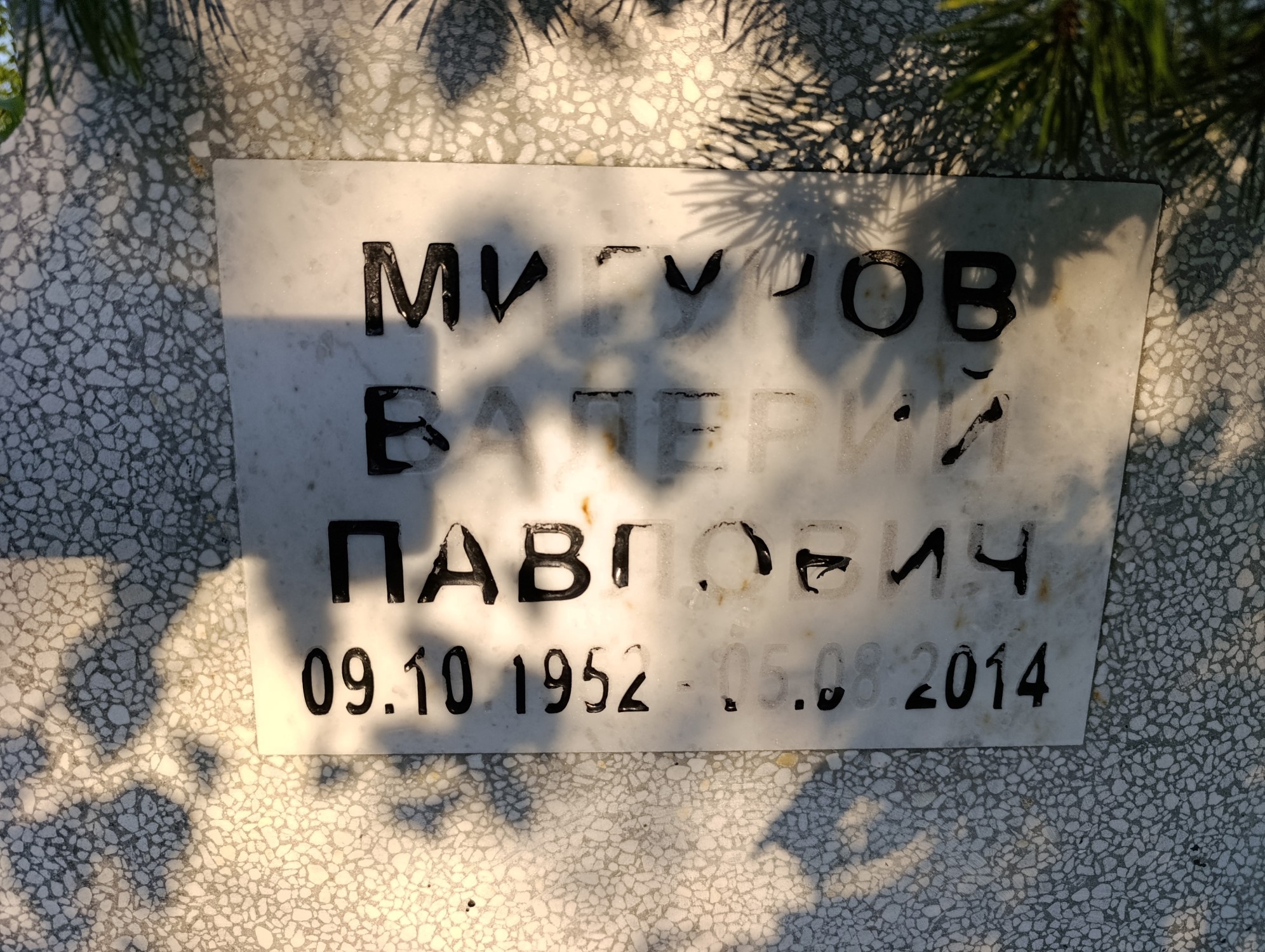 Мигуров Валерий Павлович