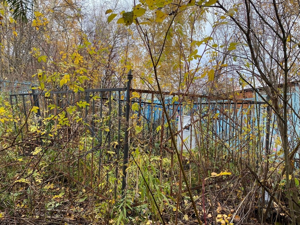 Лебедева Мария Степановна