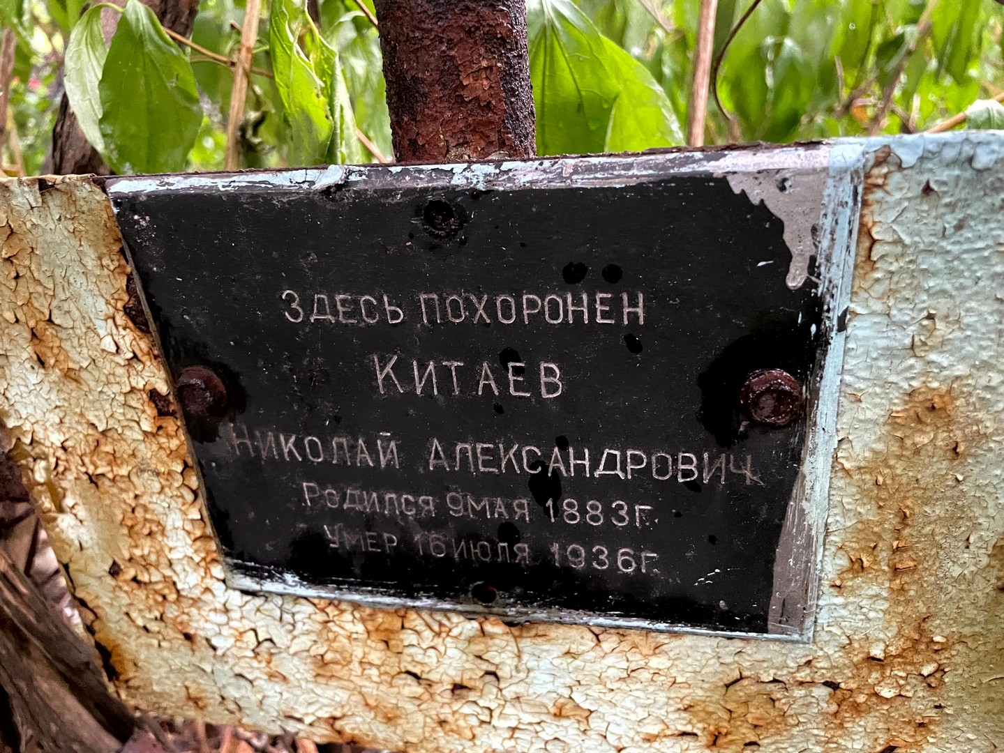 Китаев