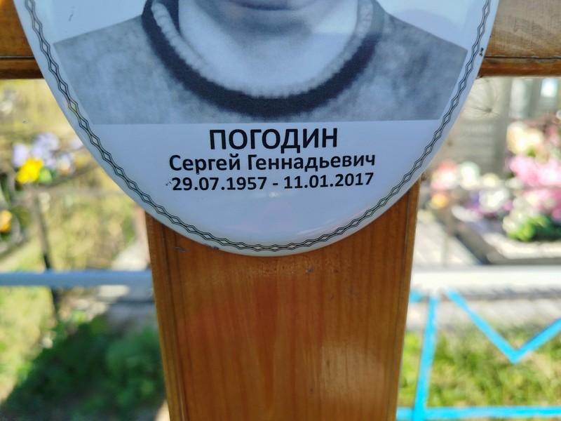 Погодин