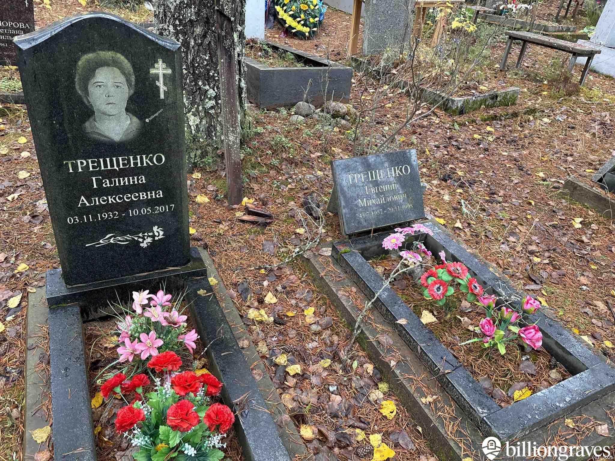 Трещенко Галина Алексеевна