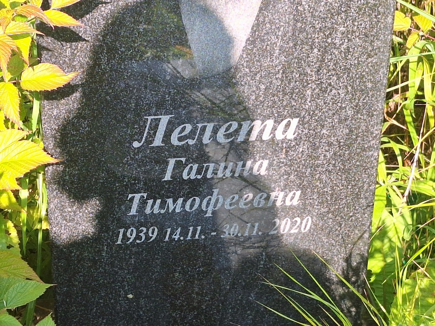Лелета