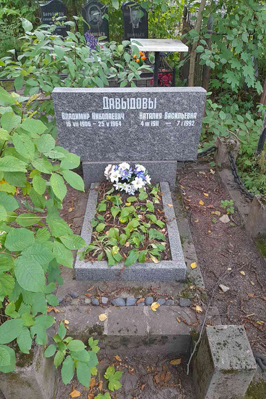 Давыдов Владимир Николаевич