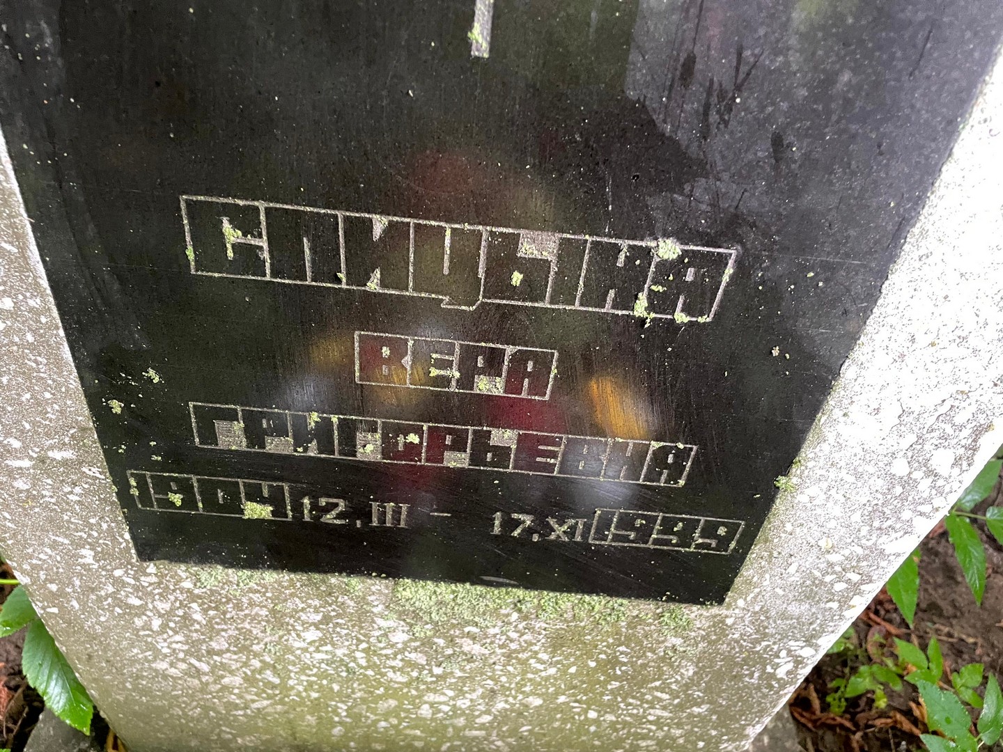 Спицына