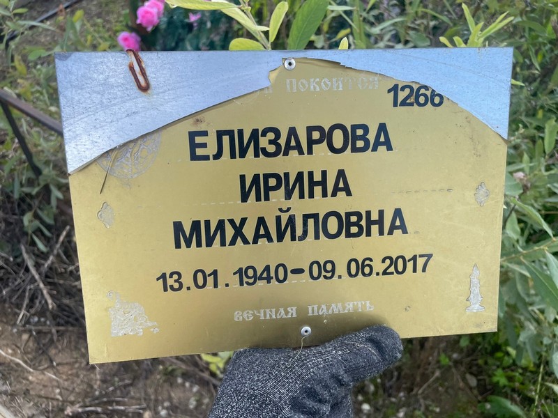 Елизарова