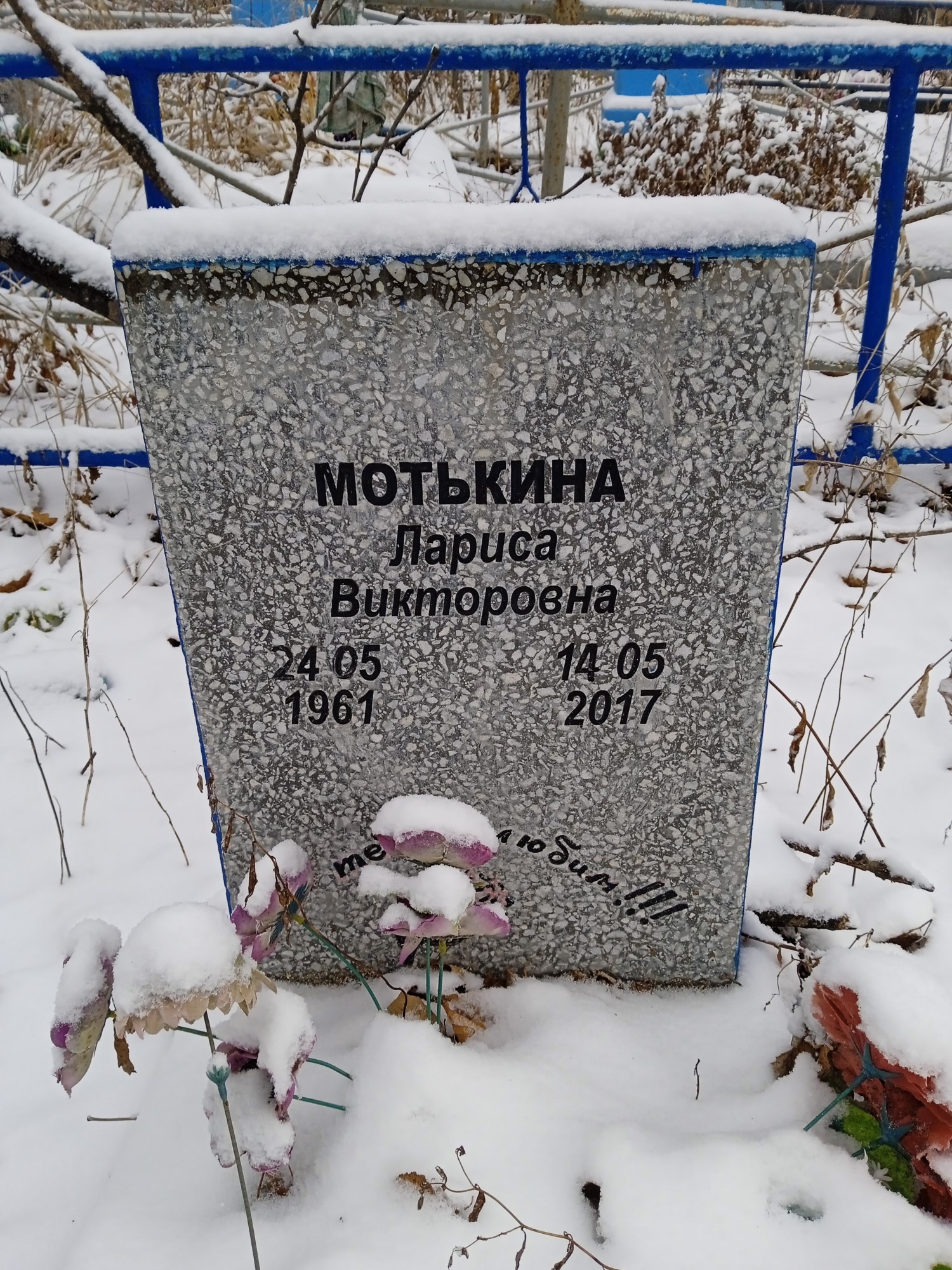 Мотькина Лариса Викторовна