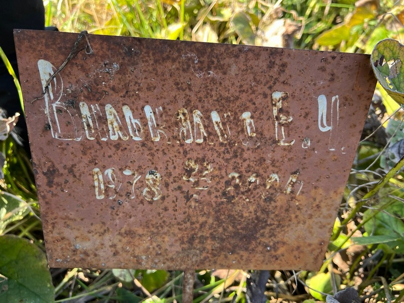 Е Вилькялов Ч