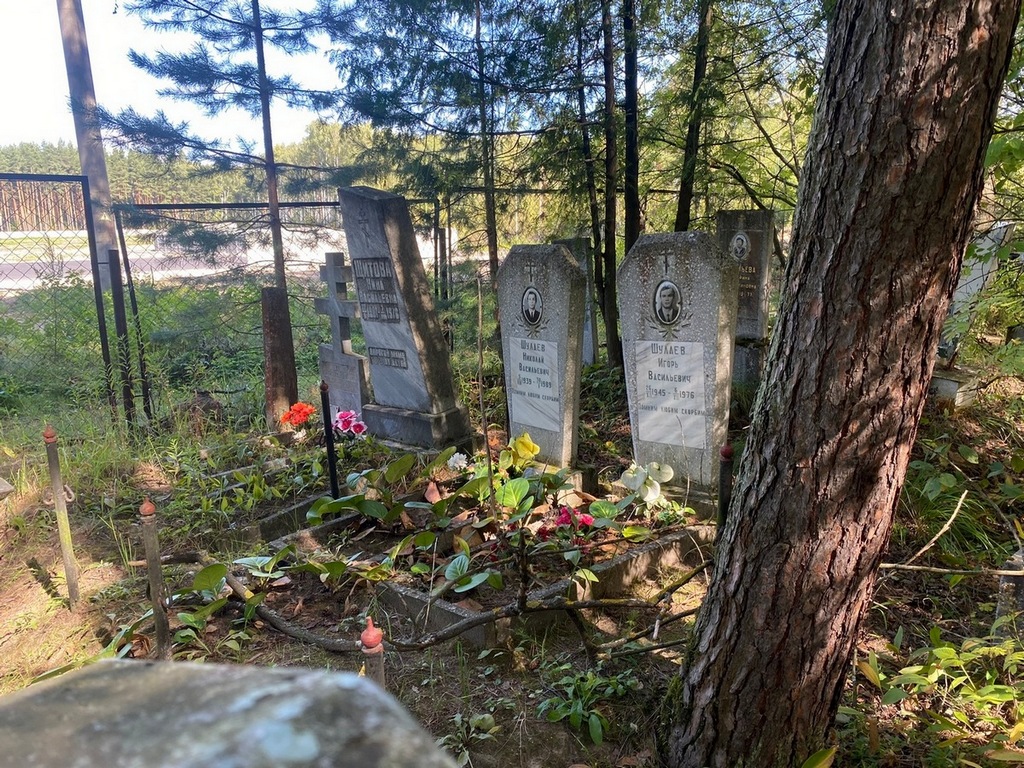 Шулаев Николай Васильевич