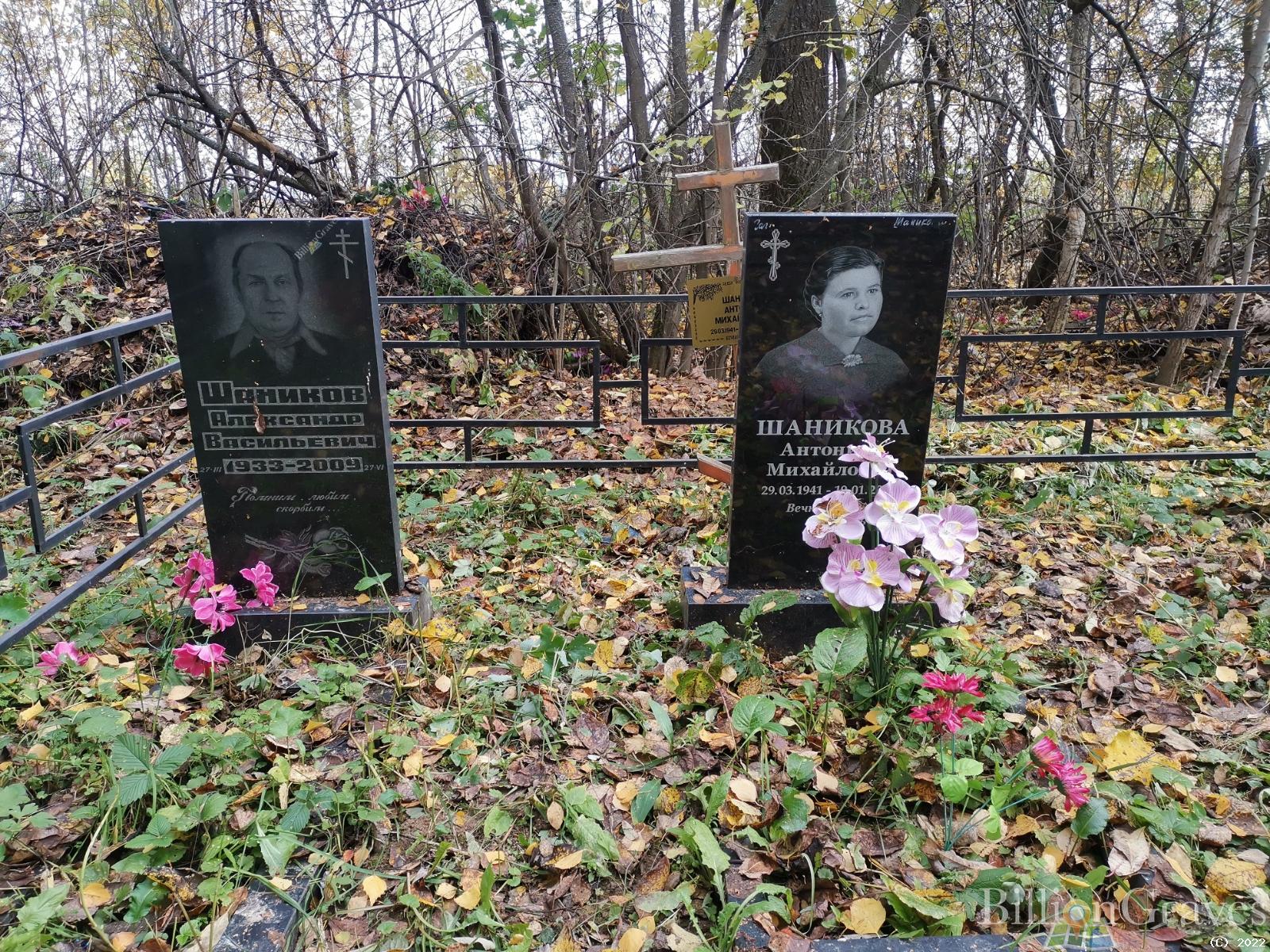 Шаникова Антонина Михайловна