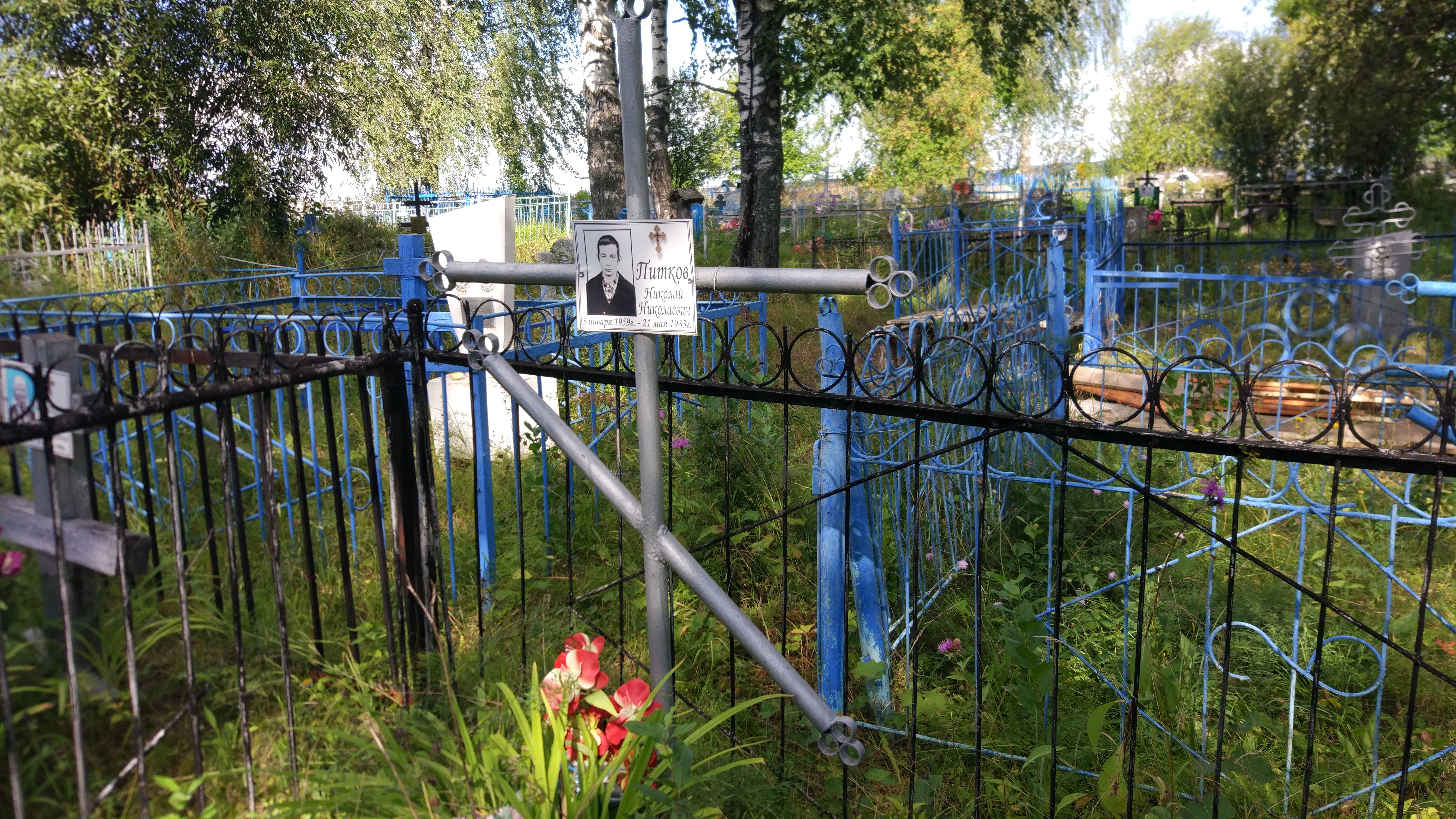 Питков Николай Николаевич