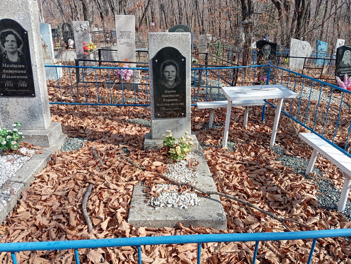 Царёва Анастасия Егоровна