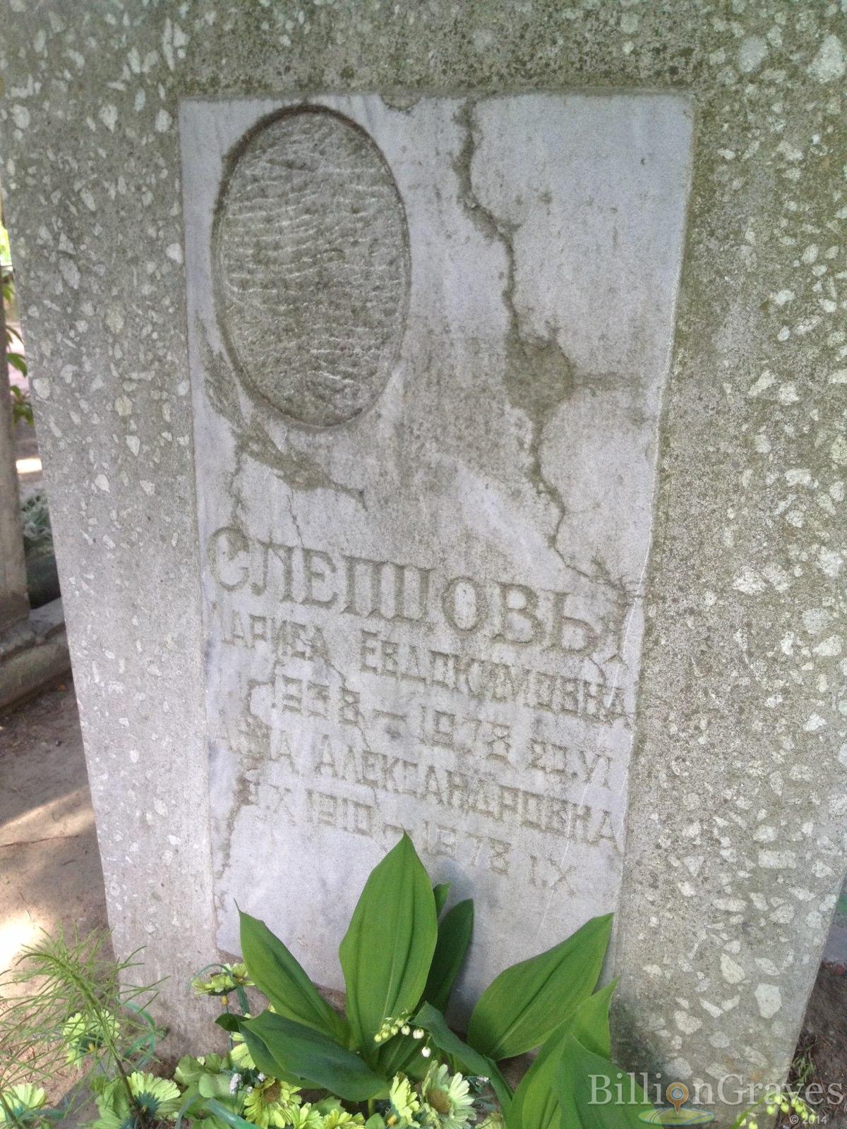 Слепцова Анна Александровна