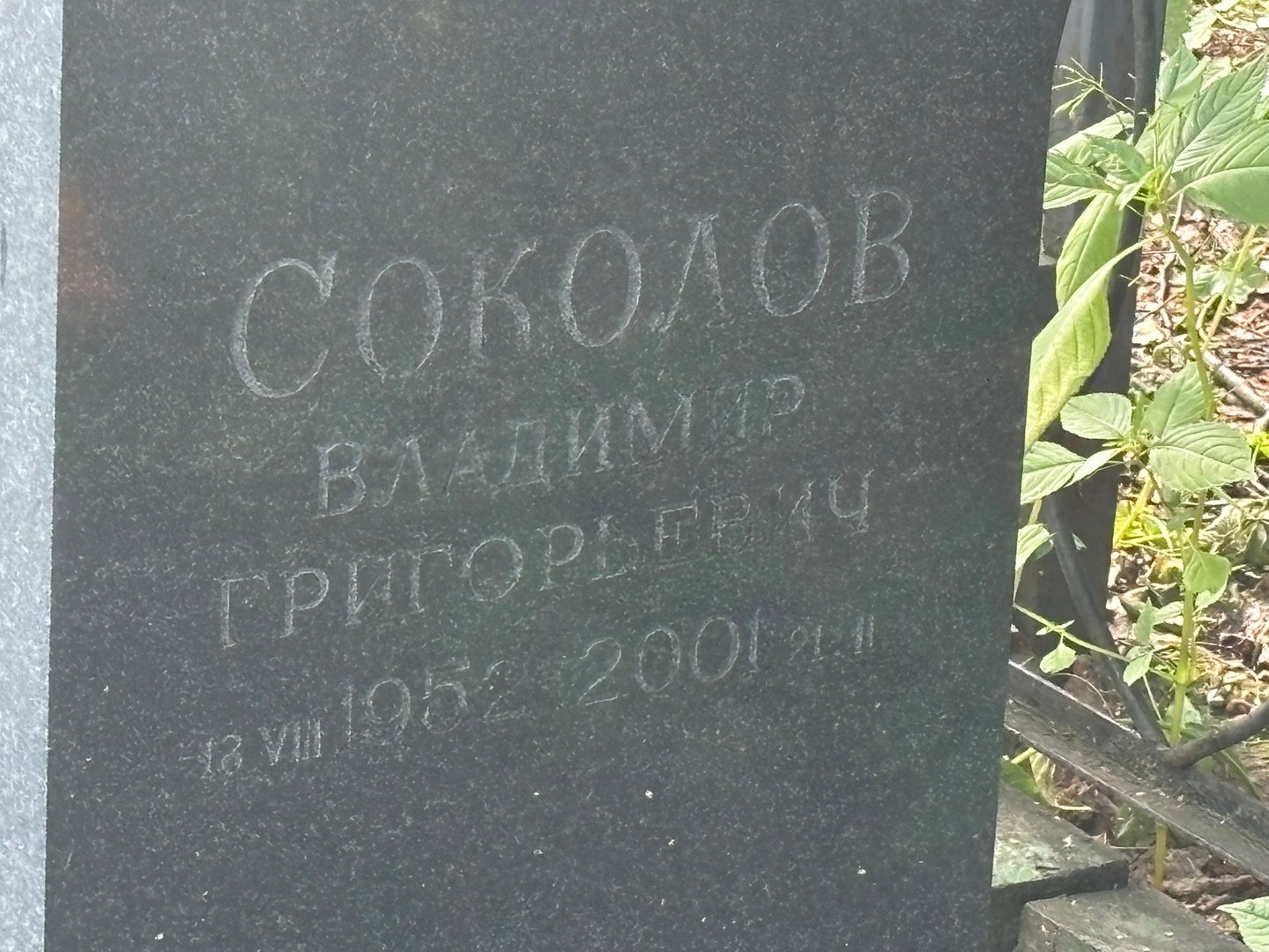 Соколов