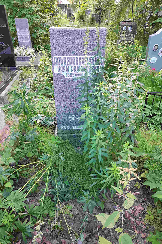 Альперович-Ланда Наум Рафаилович