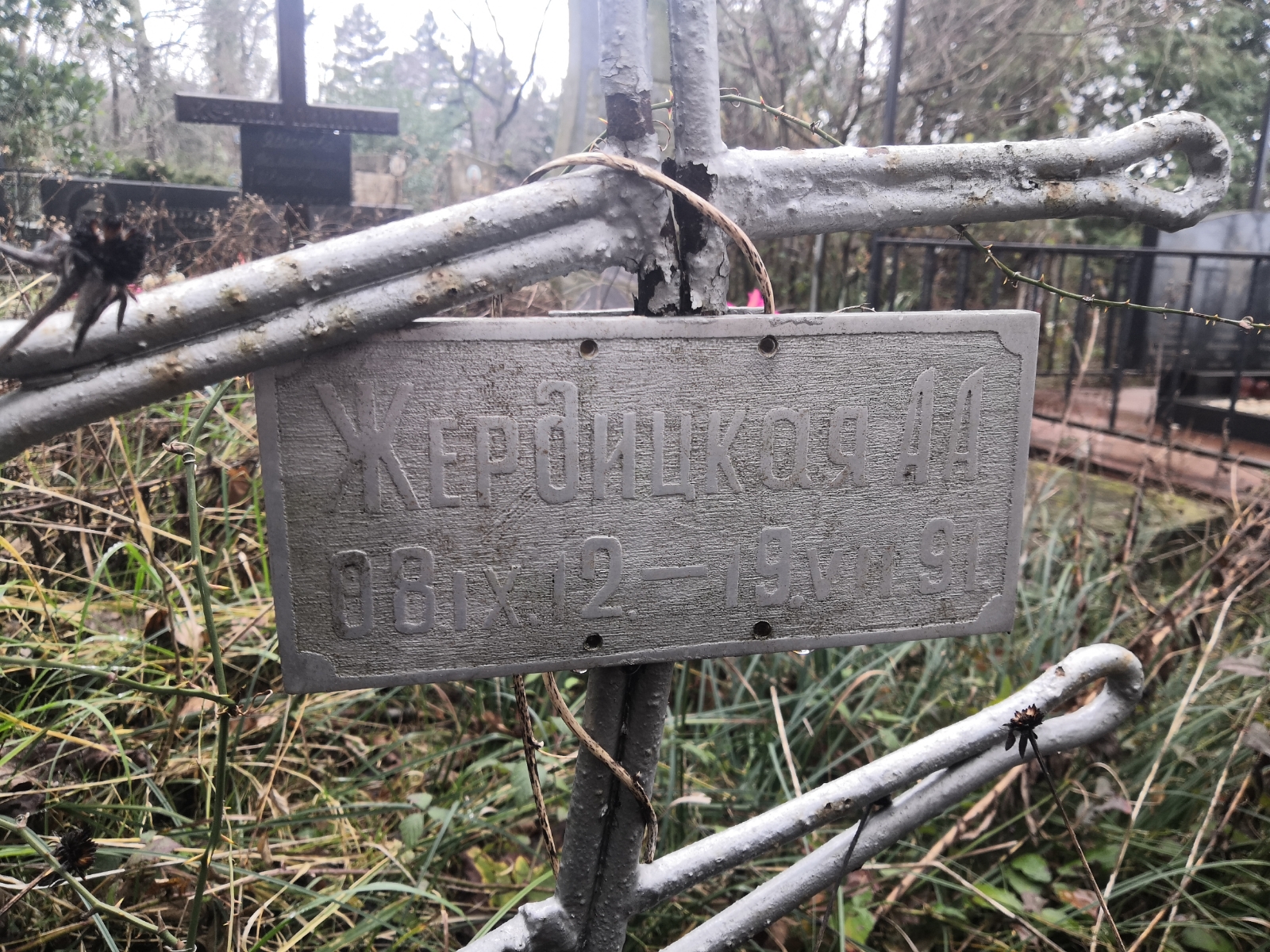 Жердицкая А. А.