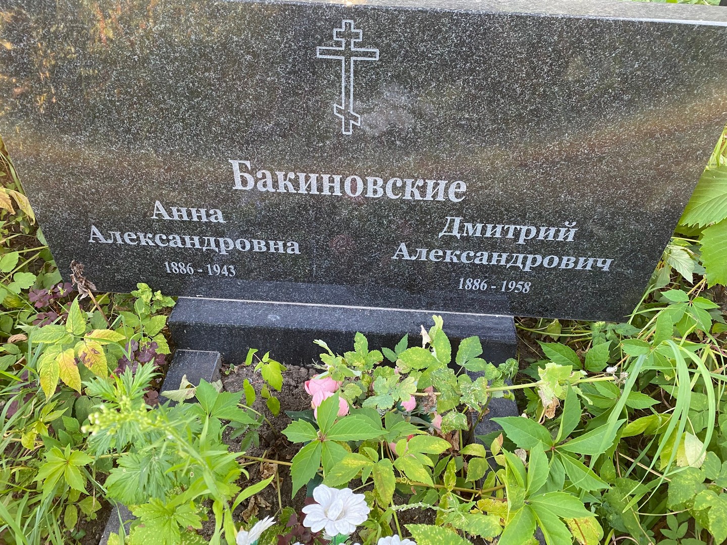 Бакиновская