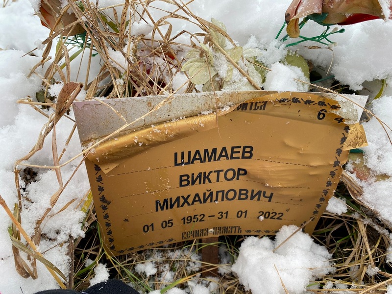 Шамаев
