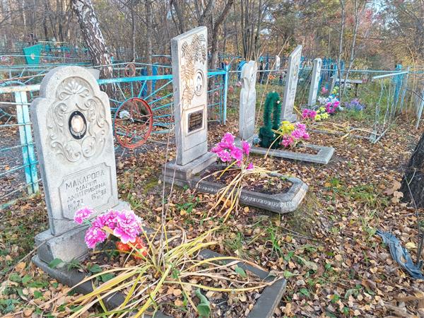 Соломатов Валентин Максимович