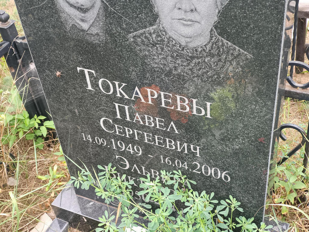 Токарев Павел Сергеевич