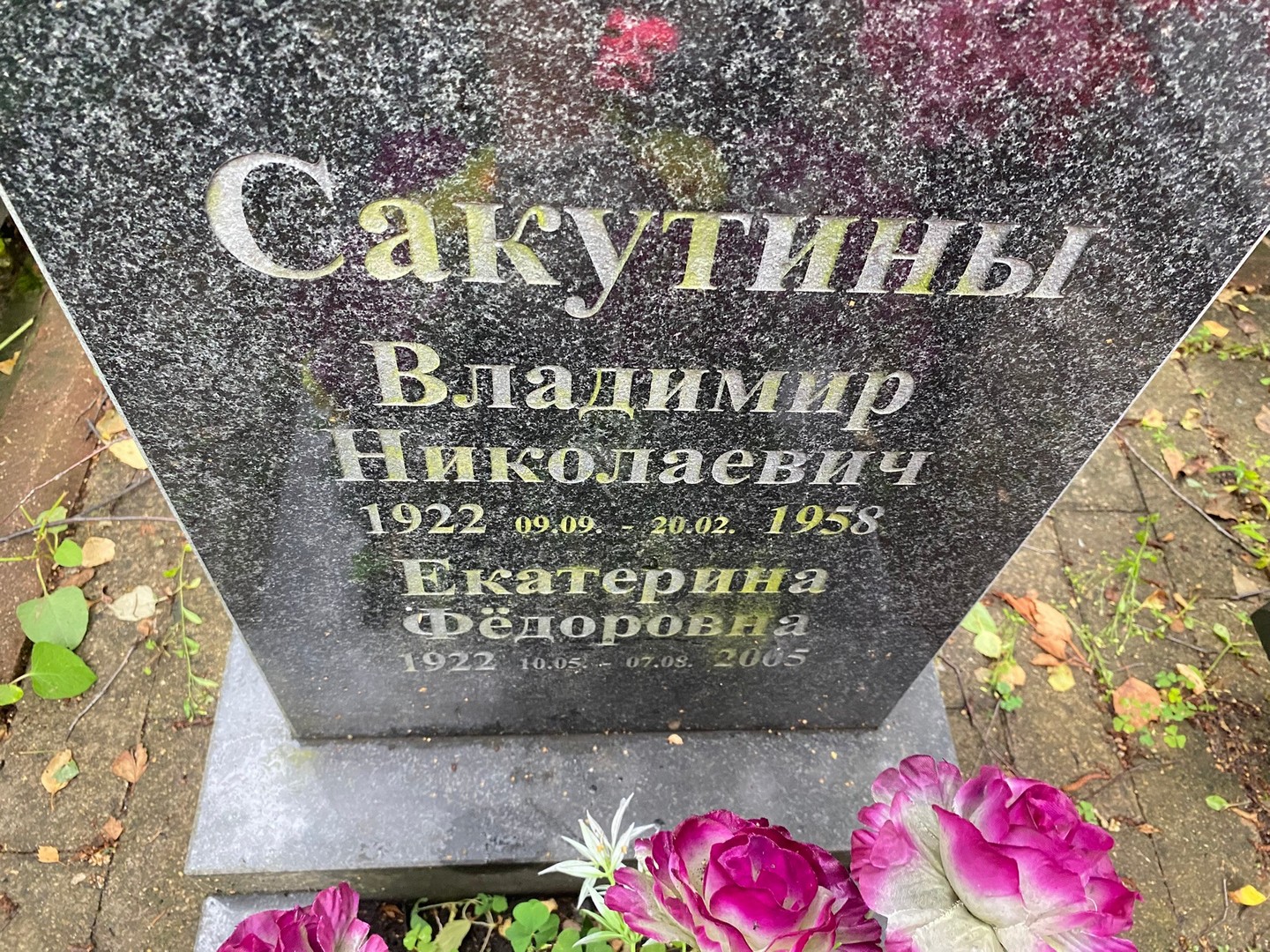 Сакутин