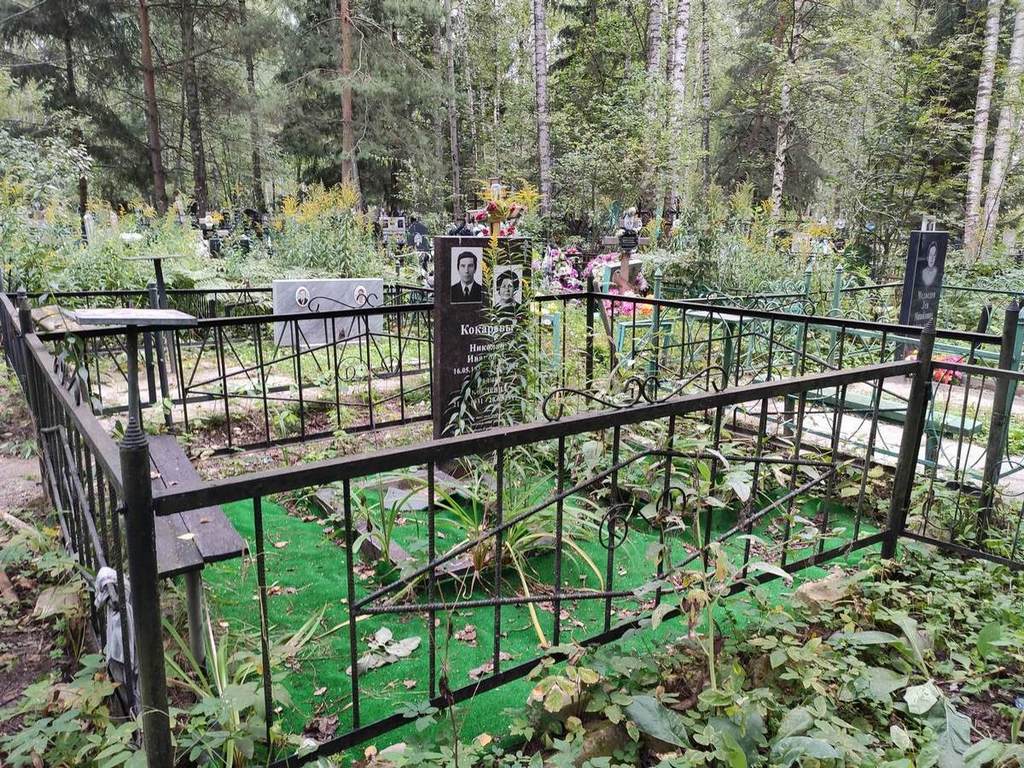 Кокарева Лидия Яковлевна