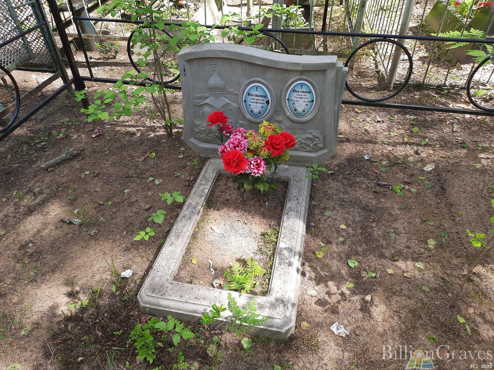 Волков Николай Тимофеевич