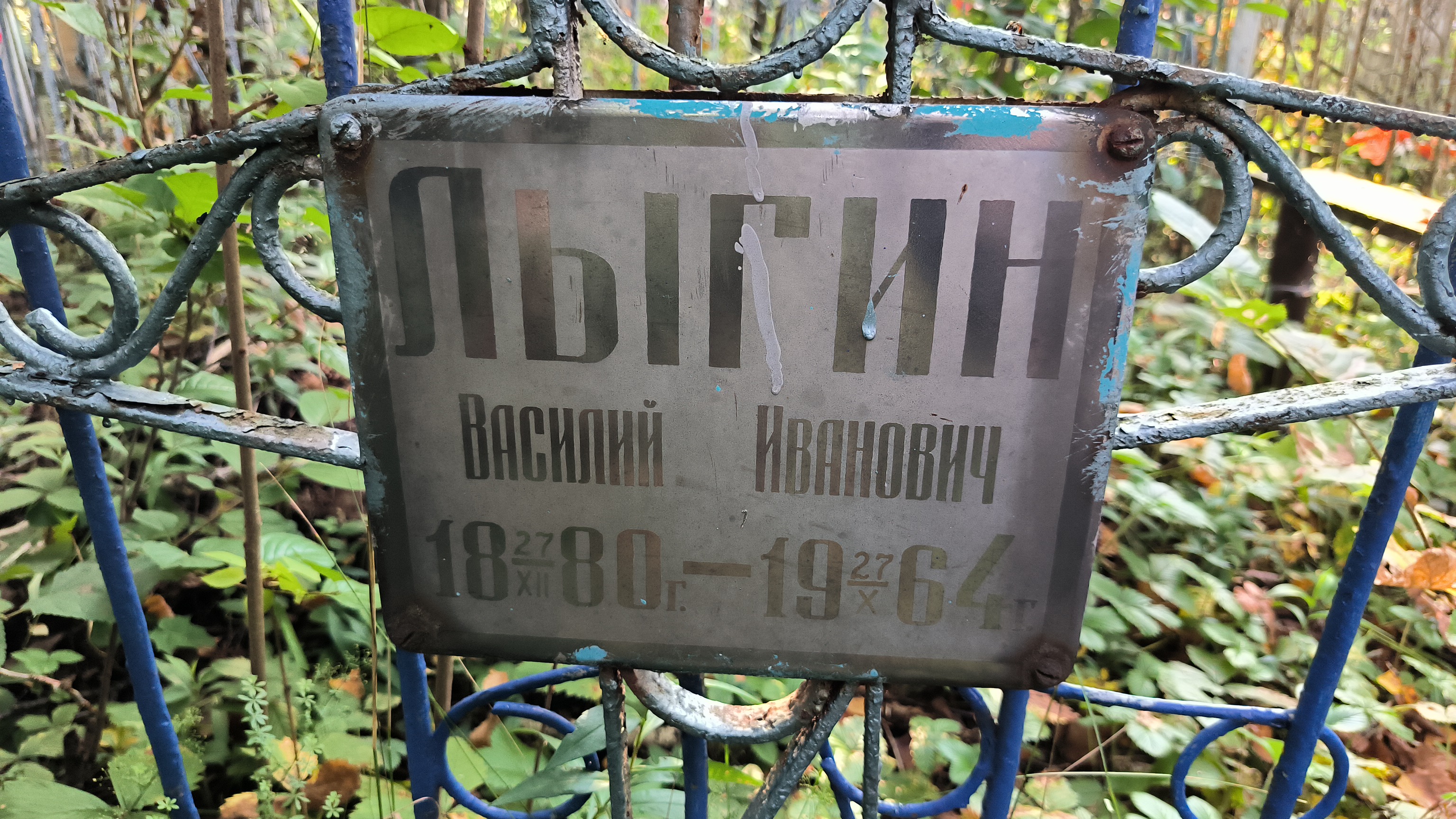 Лыгин Василий Иванович