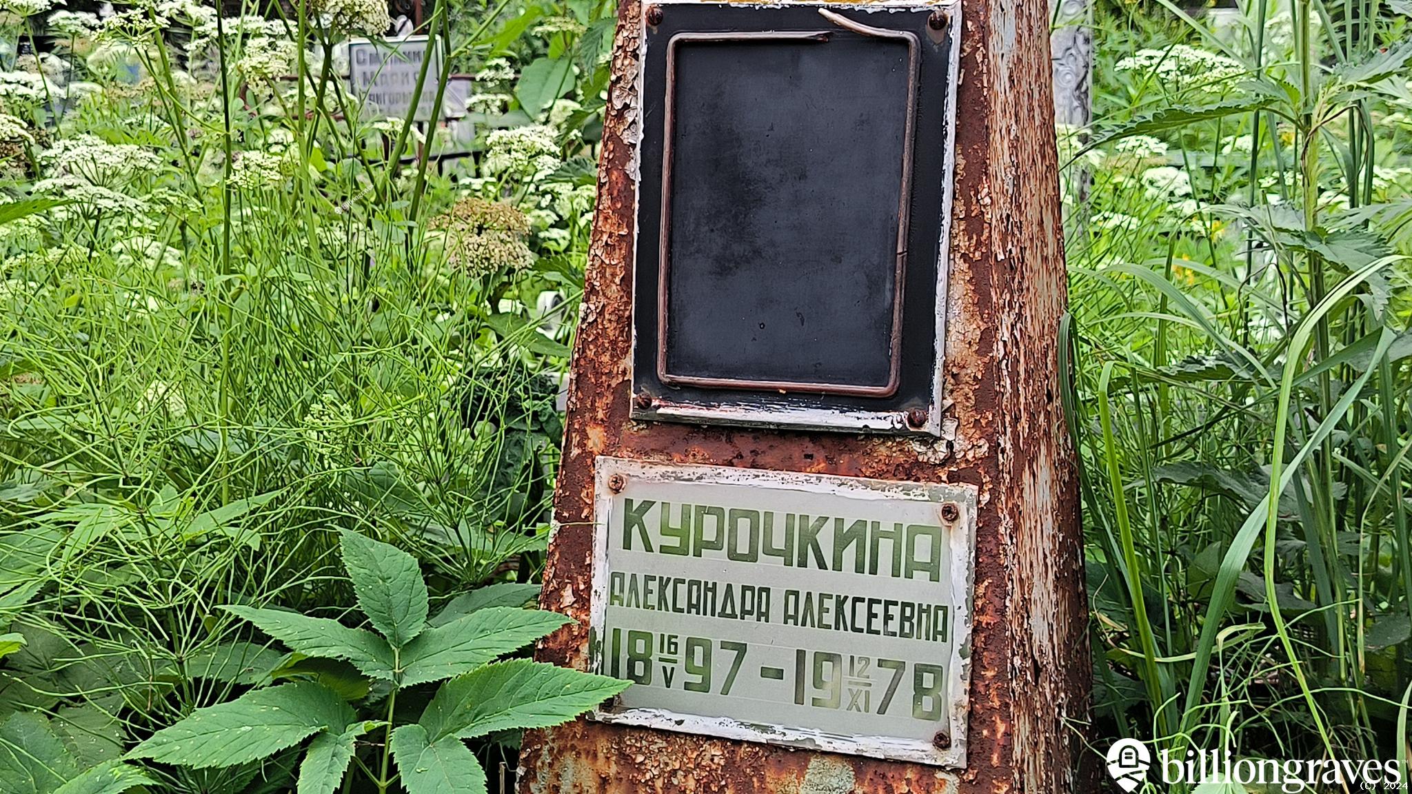 Курочкина Александра Алексеевна