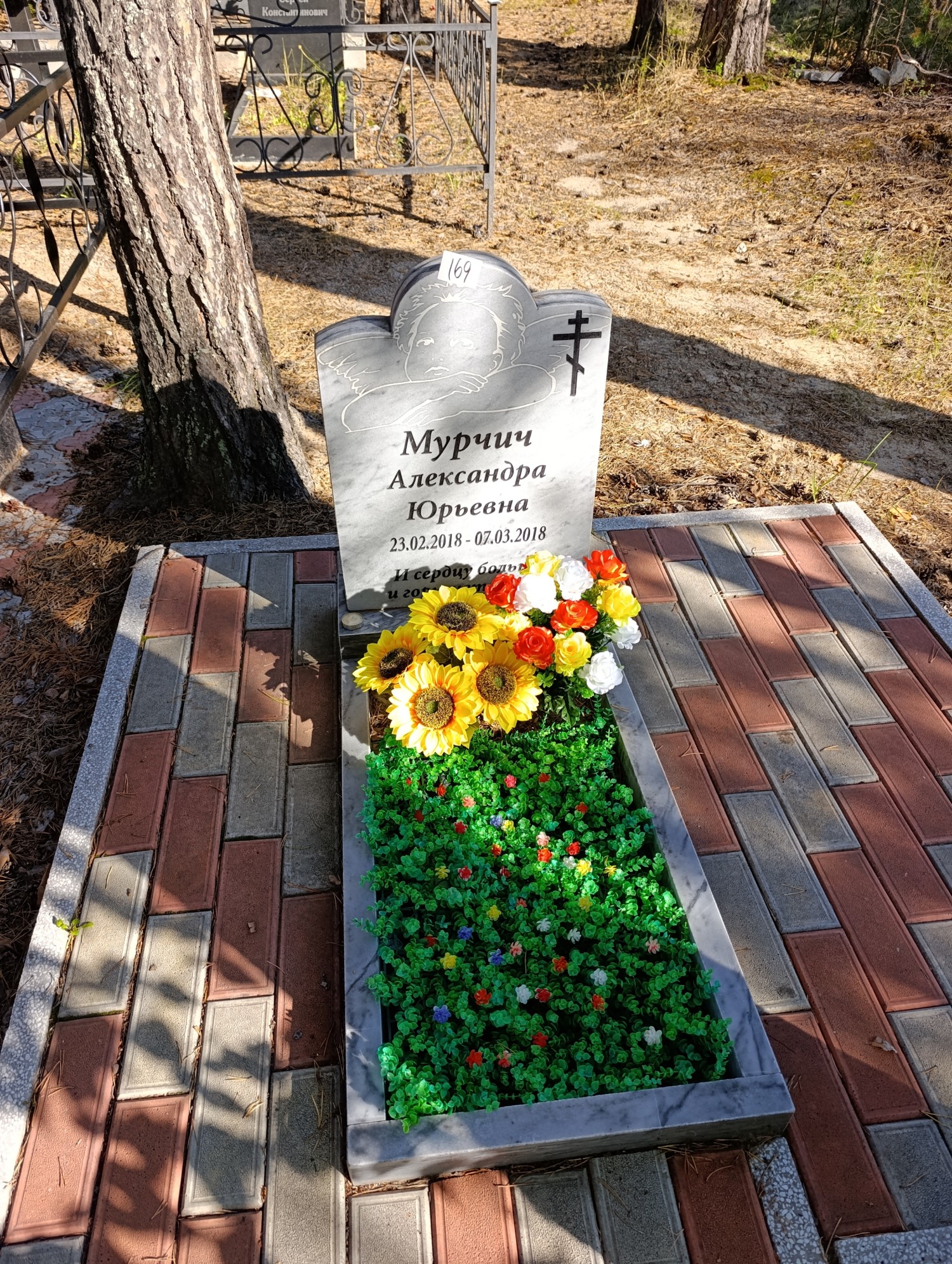 Мурчич Александра Юрьевна