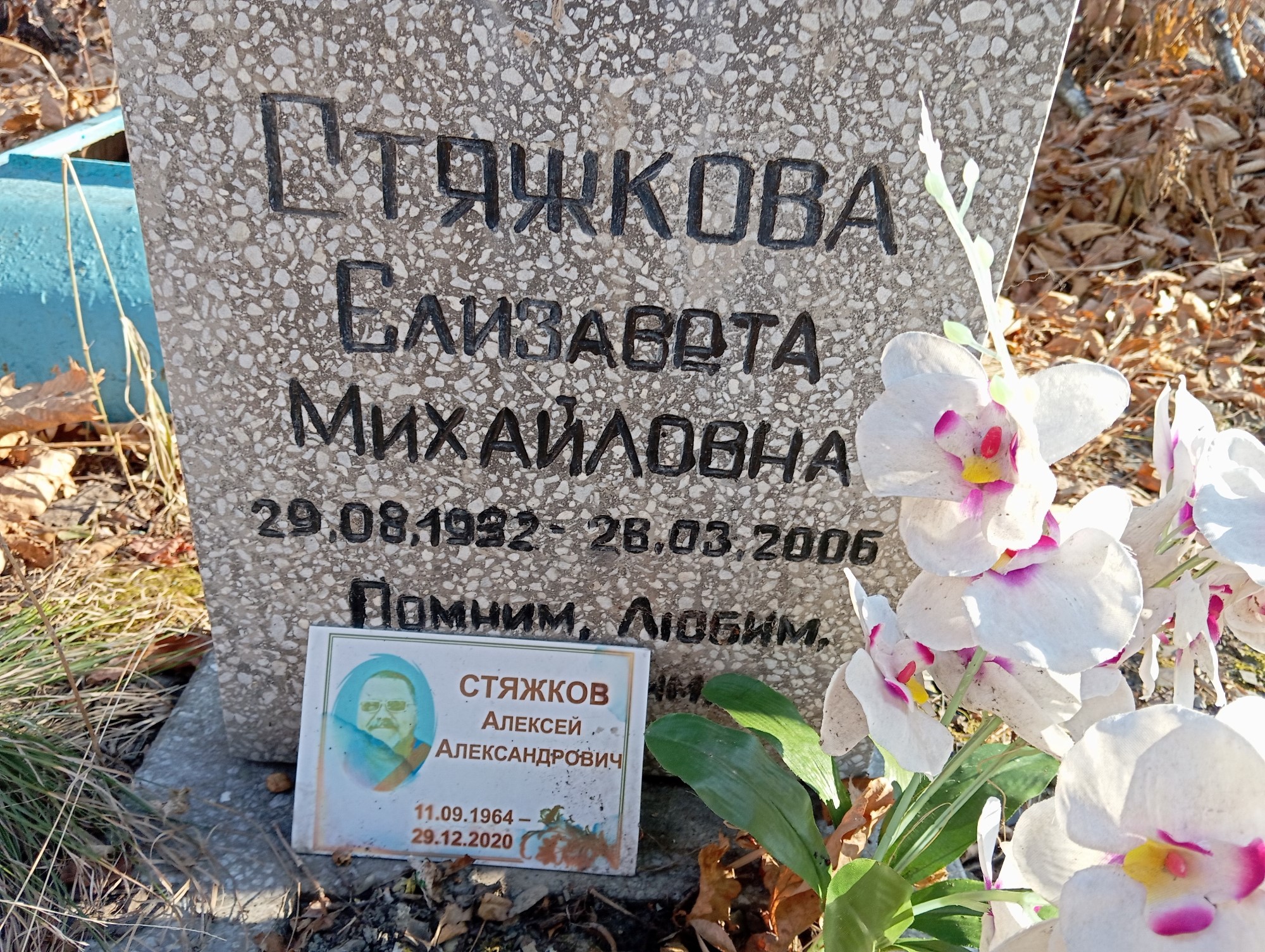 Стяжкова Елизавета Михайловна
