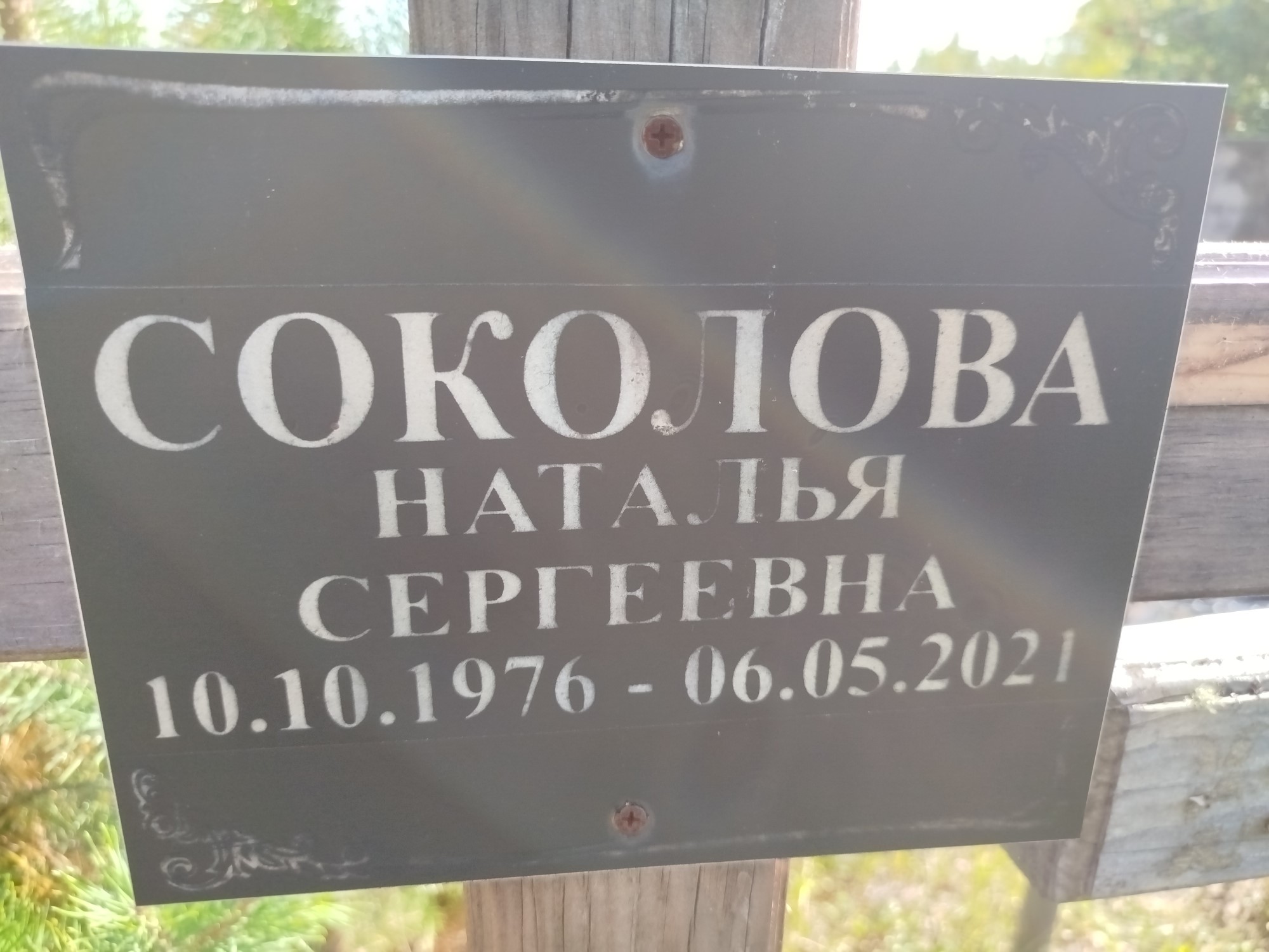 Соколова Наталья Сергеевна