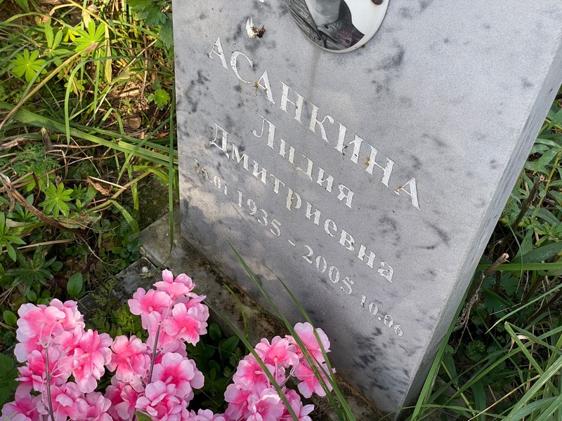 Асанкина