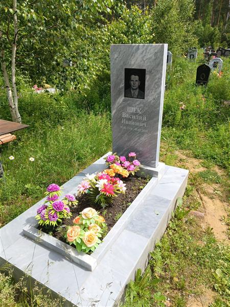 Шек Василий Иванович