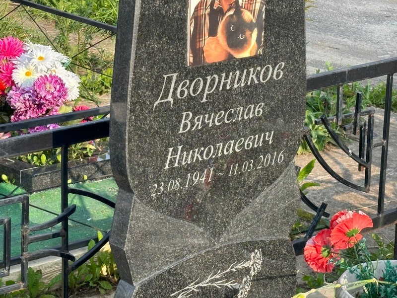 Дворников