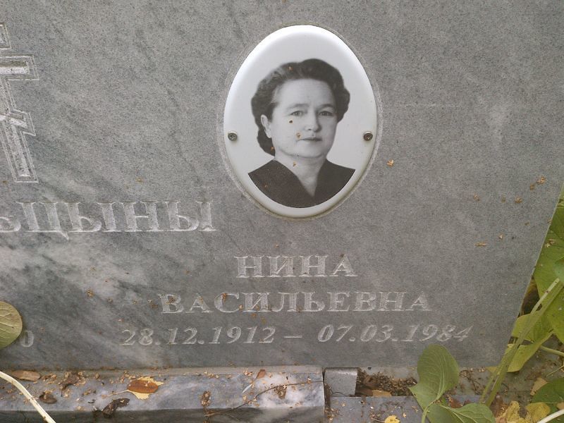 Сальцына