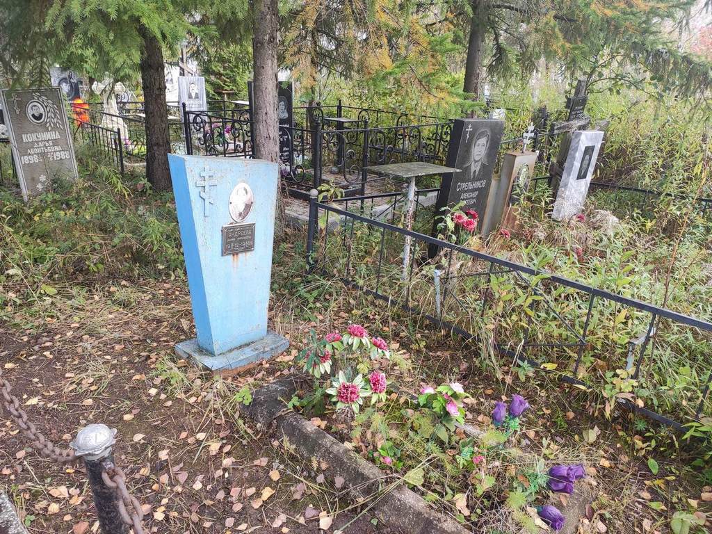 Андреева Мария Николаевна