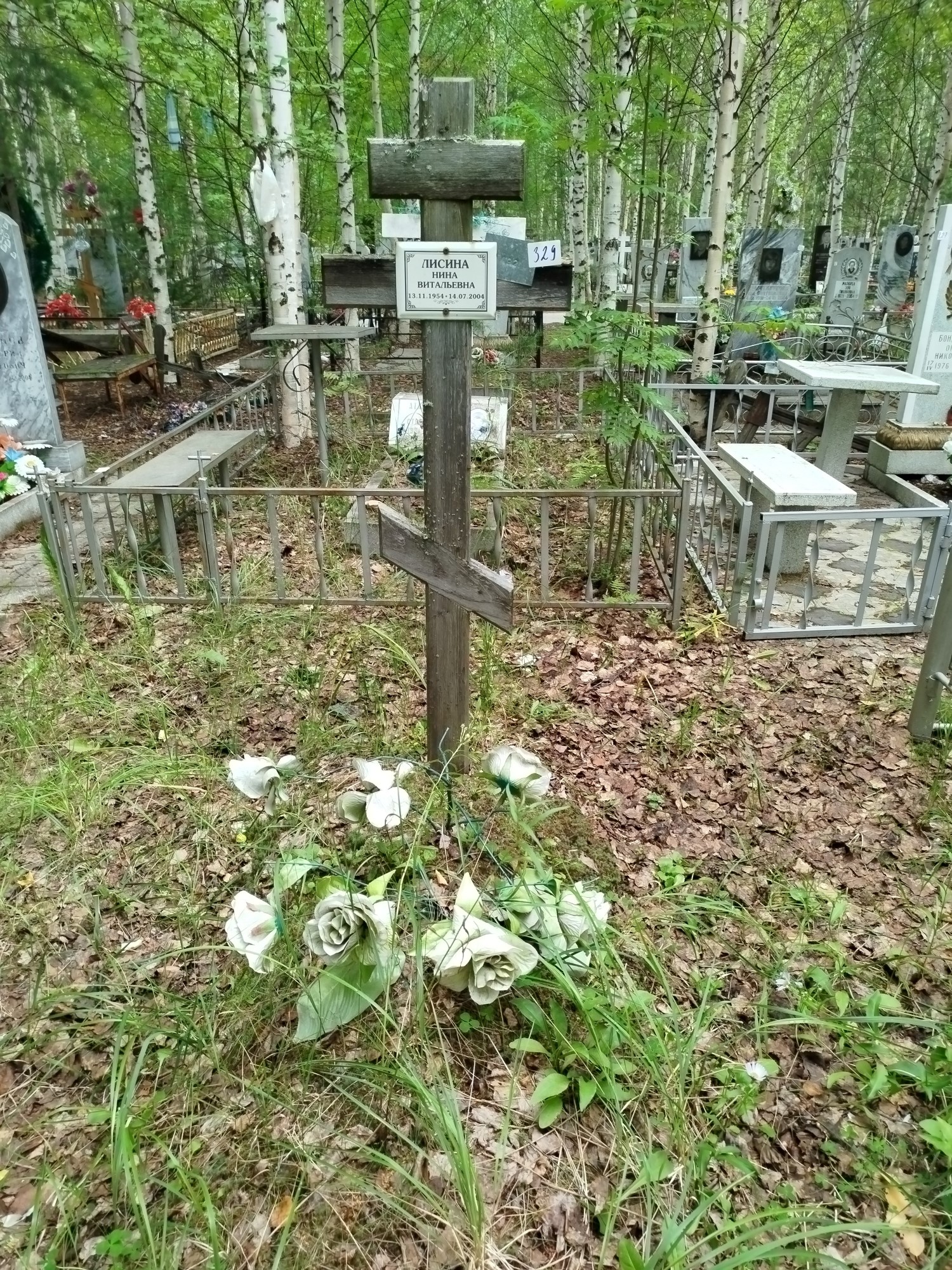 Лисина Нина Витальевна