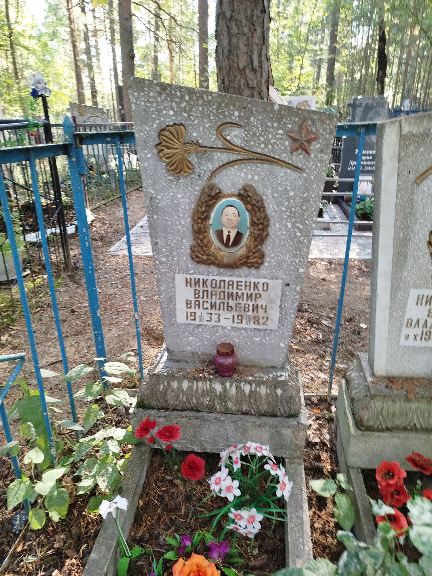 Николаенко Владимир Васильевич