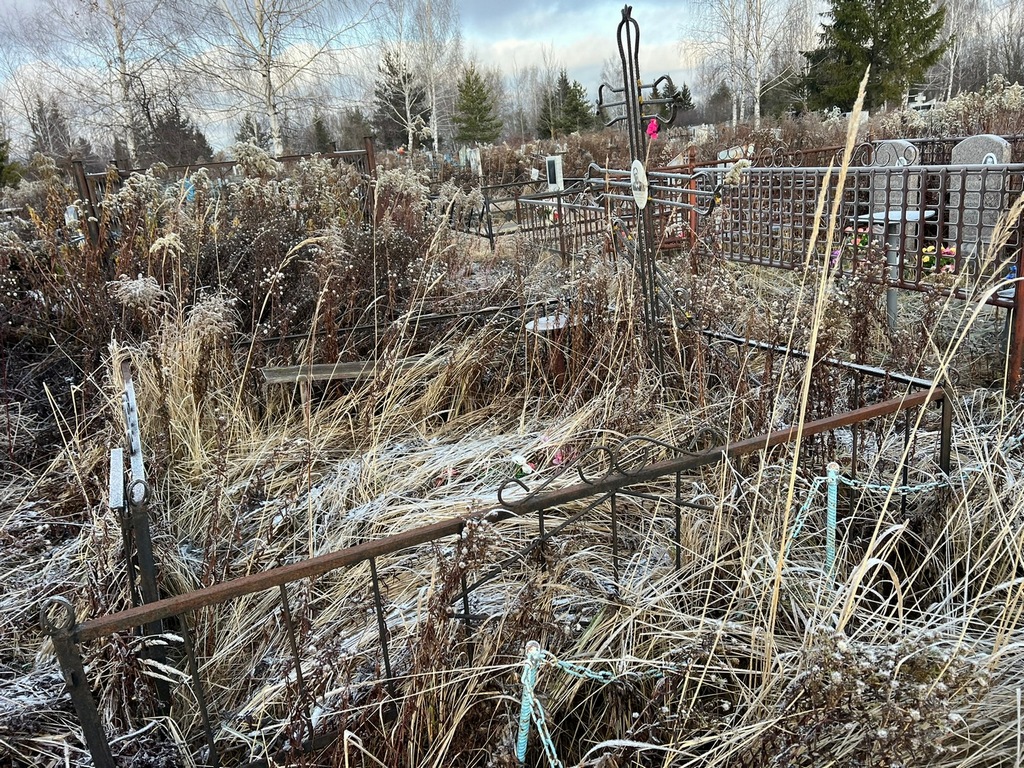 Королева Любовь Ивановна
