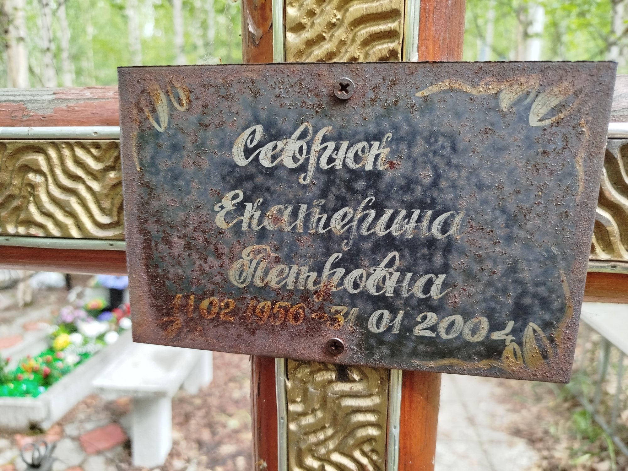 Севрюк Екатерина Петровна