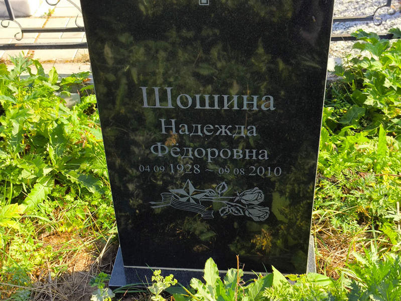 Шошина