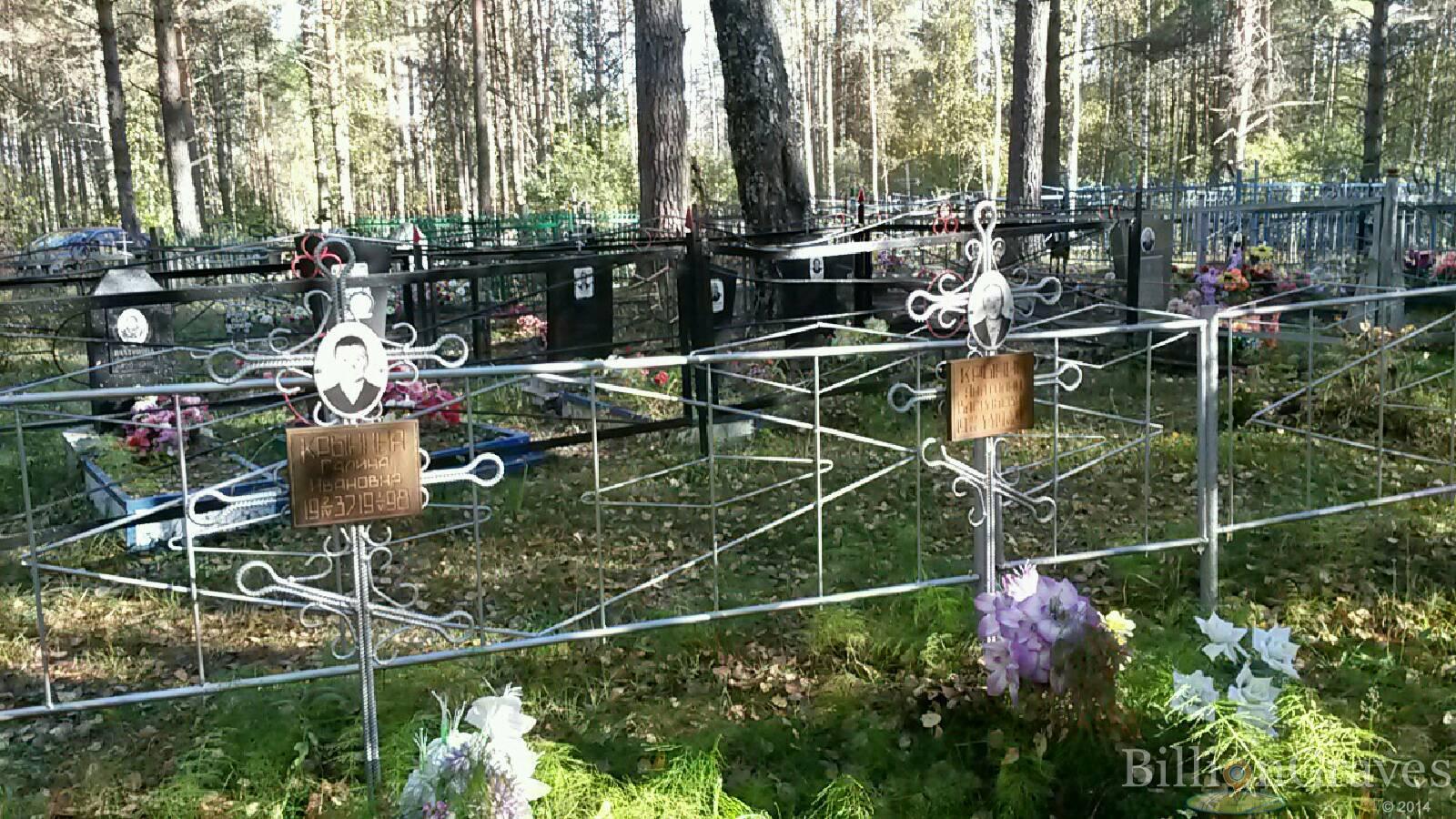 Крынин Анатолий Васильевич