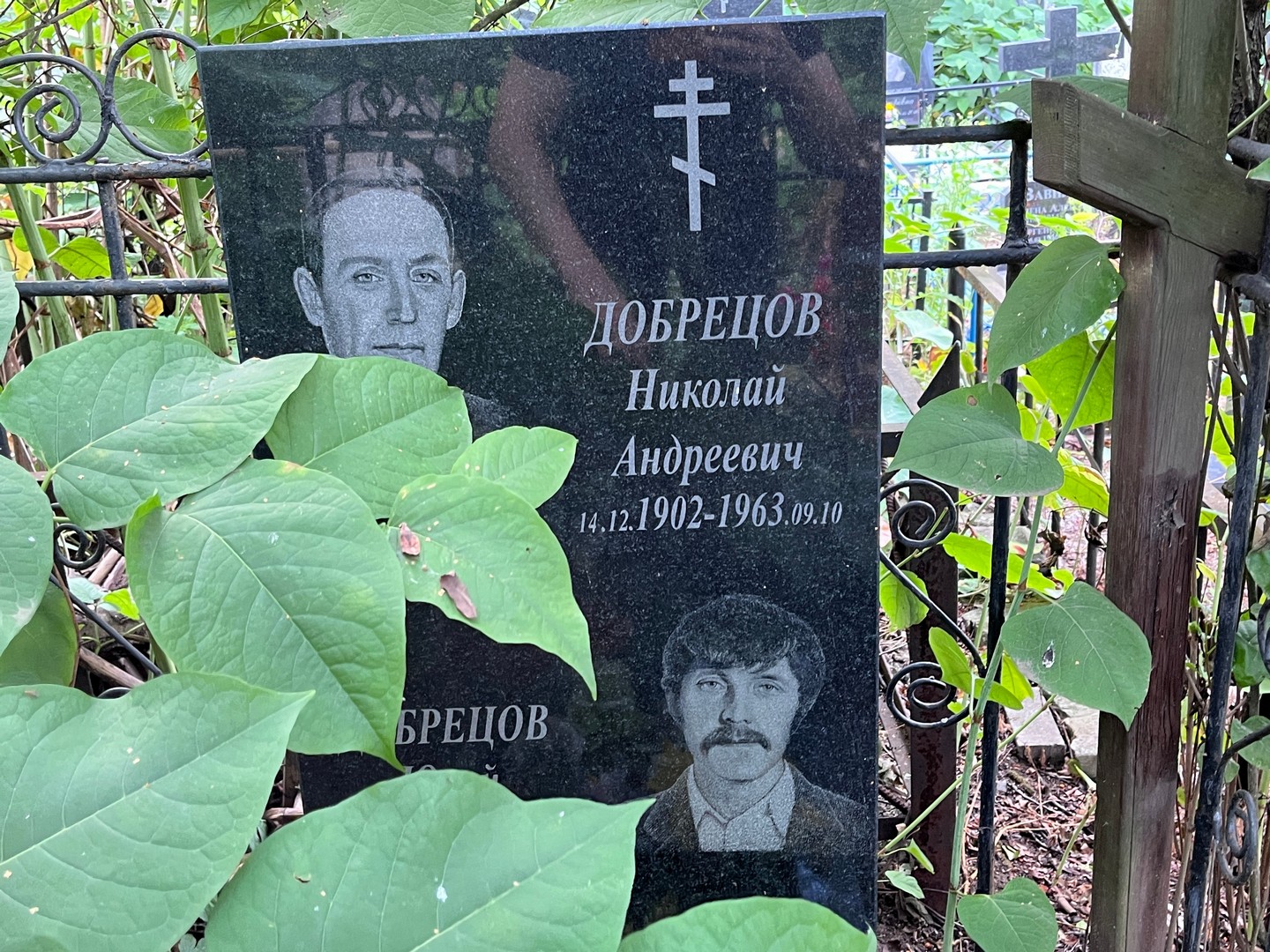 Добрецов